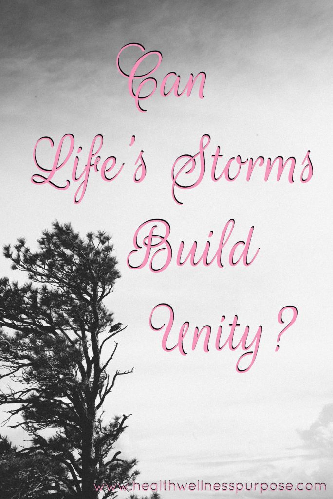 Can Life Storm's Build Unity?
