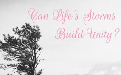 Can Life’s Storms Build Unity?